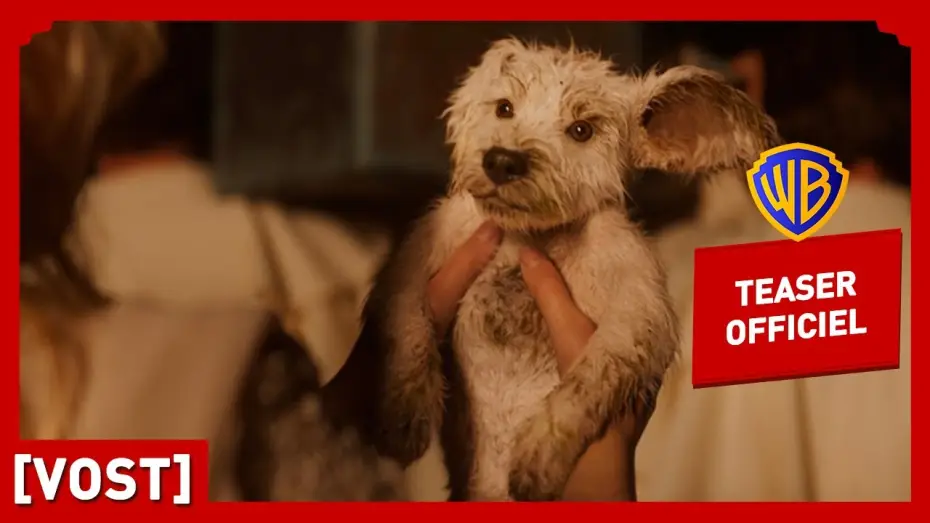 Wideo do filmu Supergirl — Supergirl | Teaser Krypto (VOST) | Milly Alcock, Jason Momoa