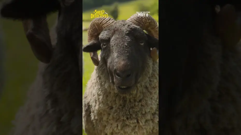 Wideo do filmu Sprawiedliwość owiec — Sheep TV Spot