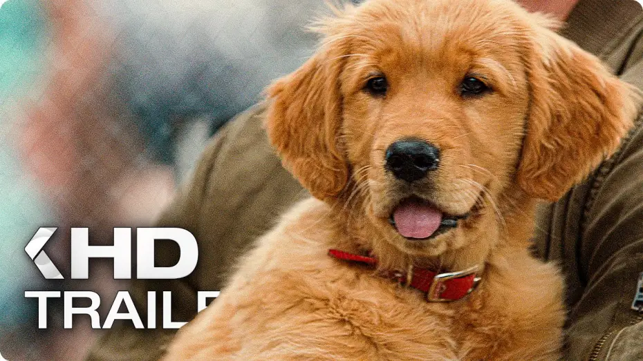 Wideo do filmu Sztuka ścigania się w deszczu — ENZO UND DIE WUNDERSAME WELT DER MENSCHEN Trailer German Deutsch (2019)