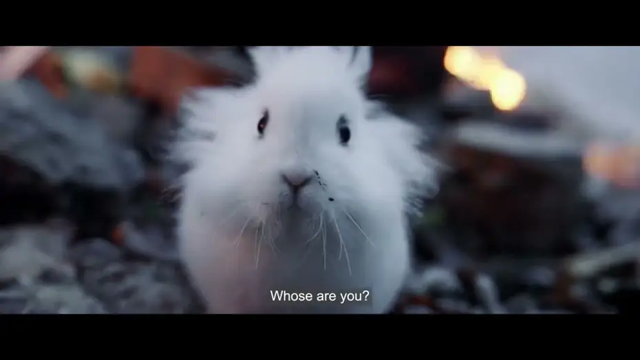 Wideo do filmu Zwierzęta na wojnie — Trailer [Subtitled]