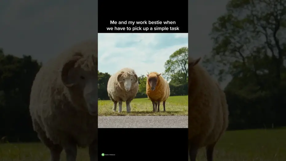 Wideo do filmu Sprawiedliwość owiec — Work Besties
