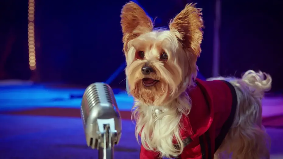 Wideo do filmu Pup Star: Razem raźniej — I Got This Music Video