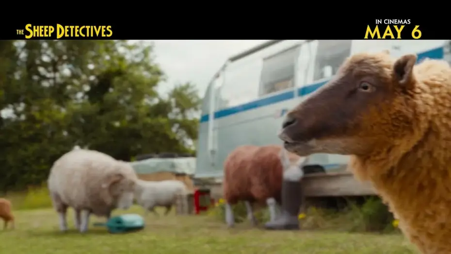 Wideo do filmu Sprawiedliwość owiec — In Cinemas May 6