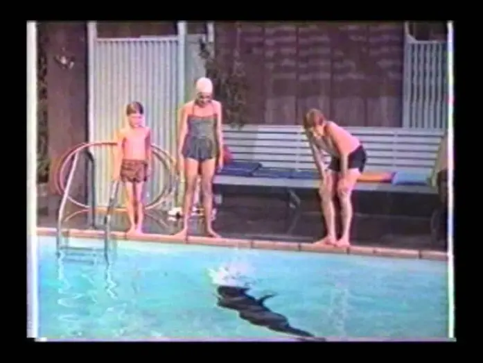 Wideo do filmu Sammy, the Way-Out Seal — Sammy the Way-Out Seal trailer.wmv
