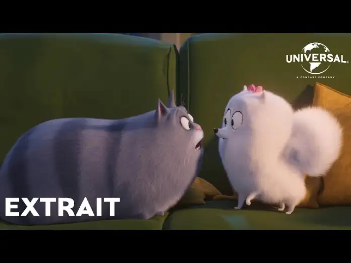 Wideo do filmu Sekretne życie zwierzaków domowych 2 — Comme des Bêtes 2 - Extrait : "Gidget remarque quelque chose" VF