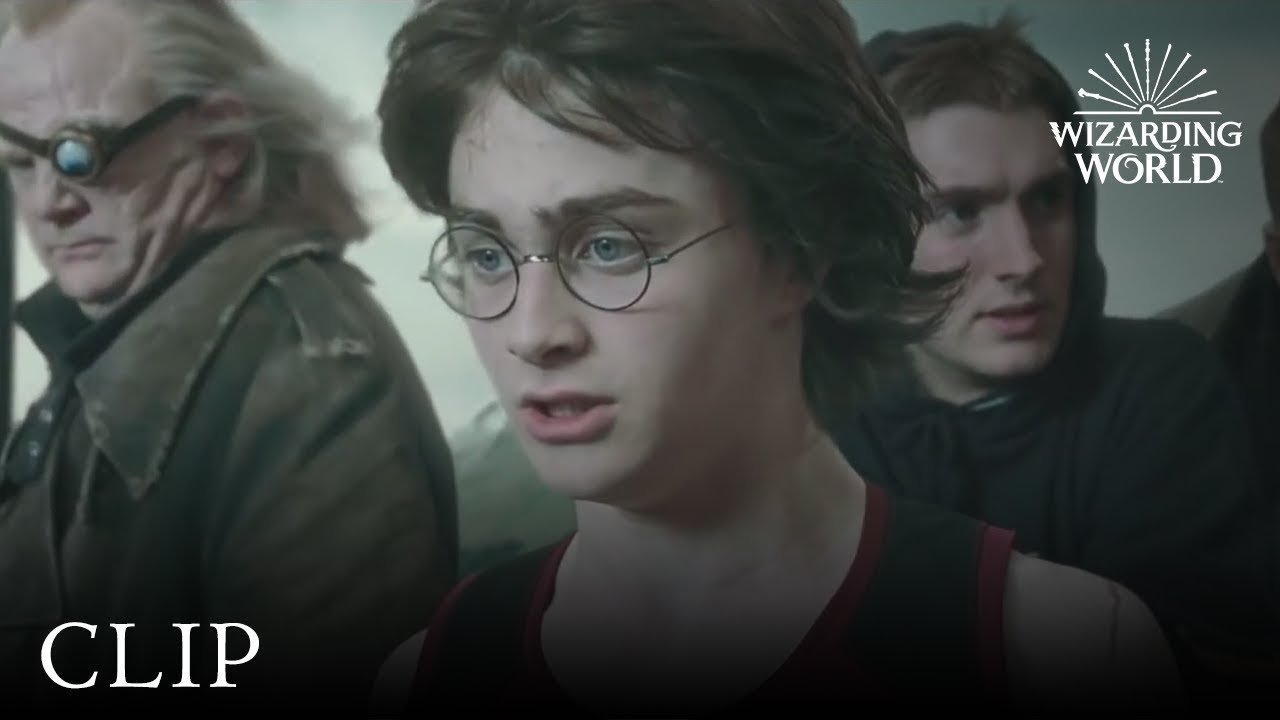 Wideo do filmu Harry Potter i Zakon Feniksa — Harry's Gillyweed Transformation | Harry Potter and the Goblet of Fire