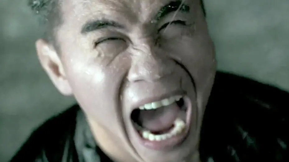 Wideo do filmu Wielki mistrz — THE GRANDMASTER | Trailer 3