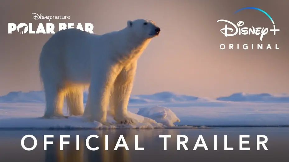 Wideo do filmu Polar Bear — Official Trailer