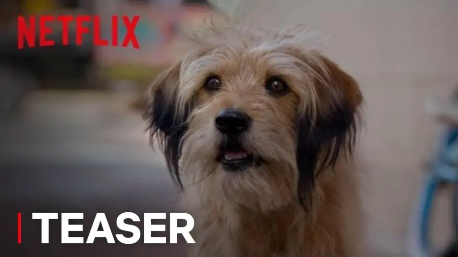 Wideo do filmu Benji — Benji | Official Teaser [HD] | Netflix