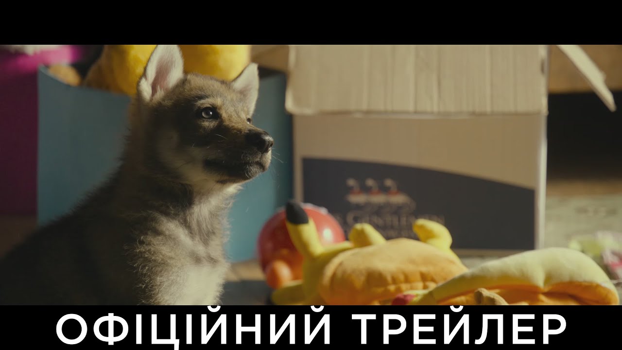 Wideo do filmu Wiki i jej Sekret — МІЙ ВОВК | Офіційний український трейлер