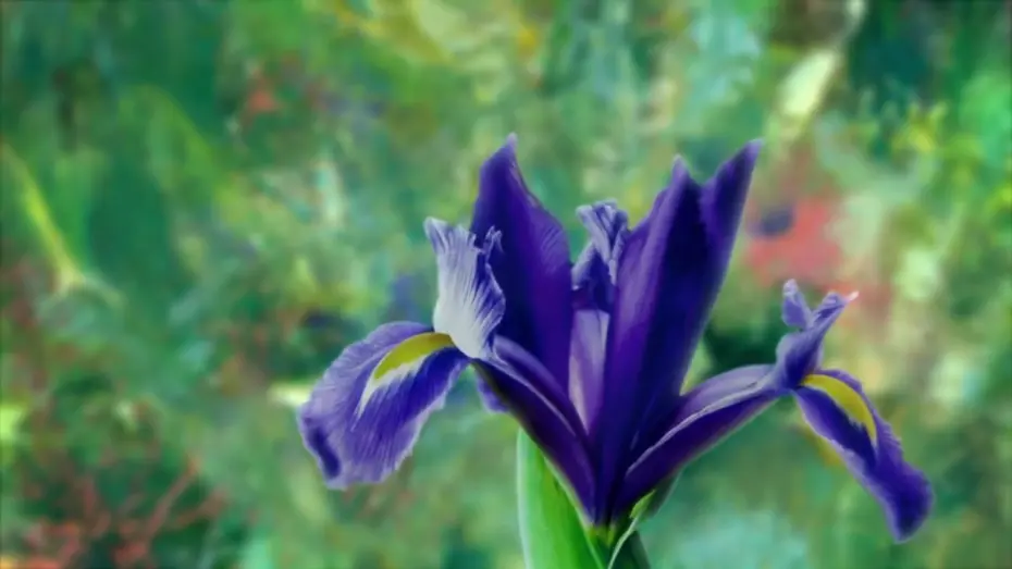 Wideo do filmu Painting the Modern Garden: Monet to Matisse — Watch the trailer for 'Painting the Modern Garden: Monet to Matisse'