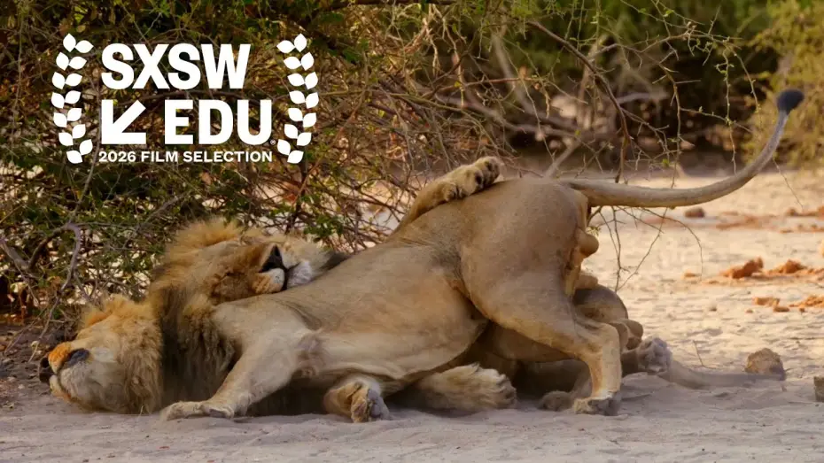 Wideo do filmu Second Nature: Gender and Sexuality in the Animal World — Second Nature - Official Trailer