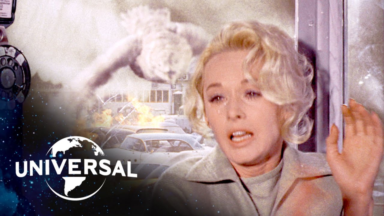 Wideo do filmu Ptaki — The Birds | Attack on Bodega Bay