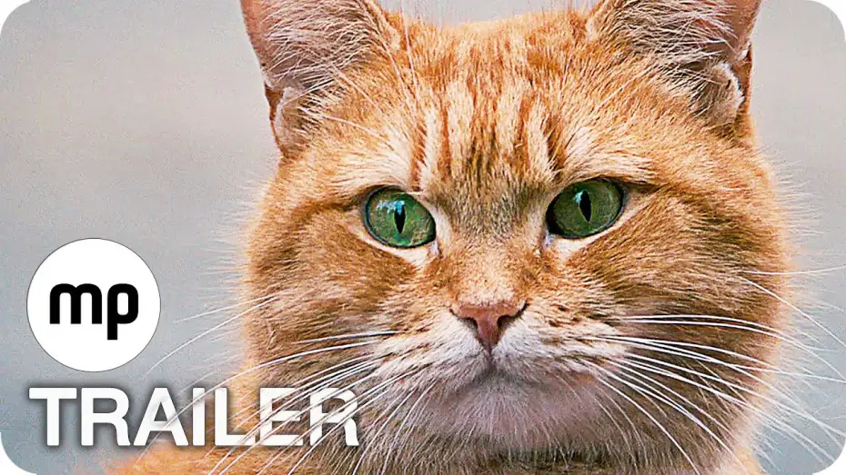 Wideo do filmu Kot Bob i ja — BOB DER STREUNER Trailer German Deutsch (2017)
