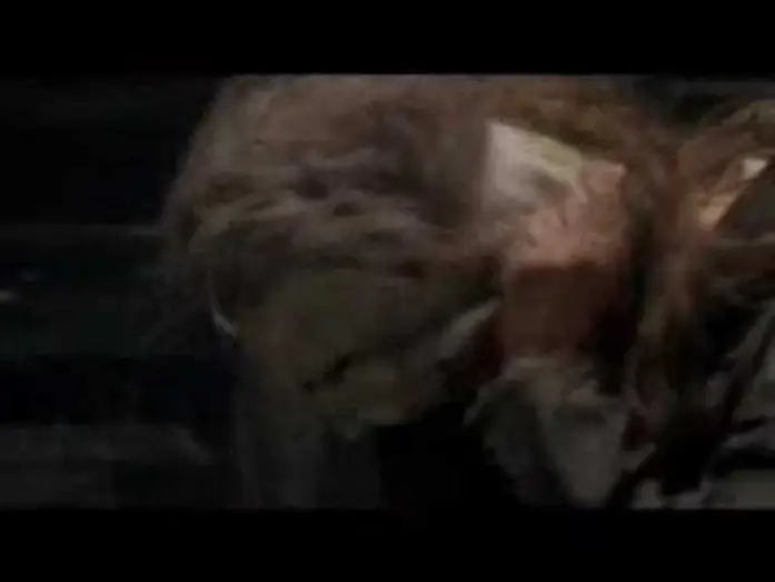 Wideo do filmu Halloween — Halloween 2007 Trailer German High Qualität