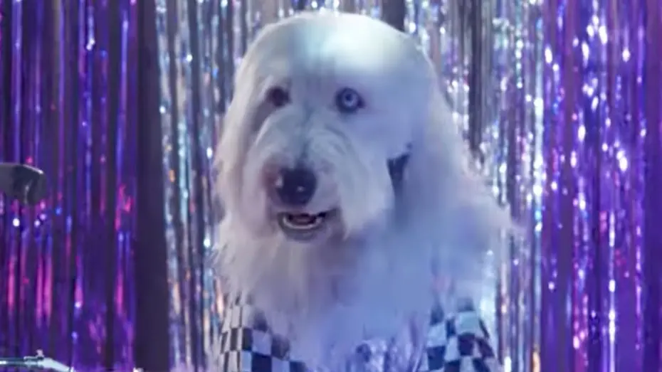 Wideo do filmu Pup Star: Razem raźniej — Music Video - Shake Your Tail