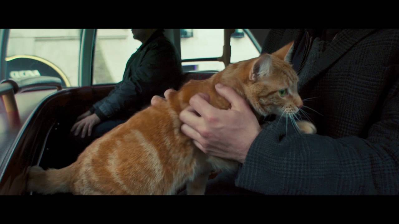 Wideo do filmu Kot Bob i ja — A Street Cat Named Bob - Bus Clip - At Cinemas November 4