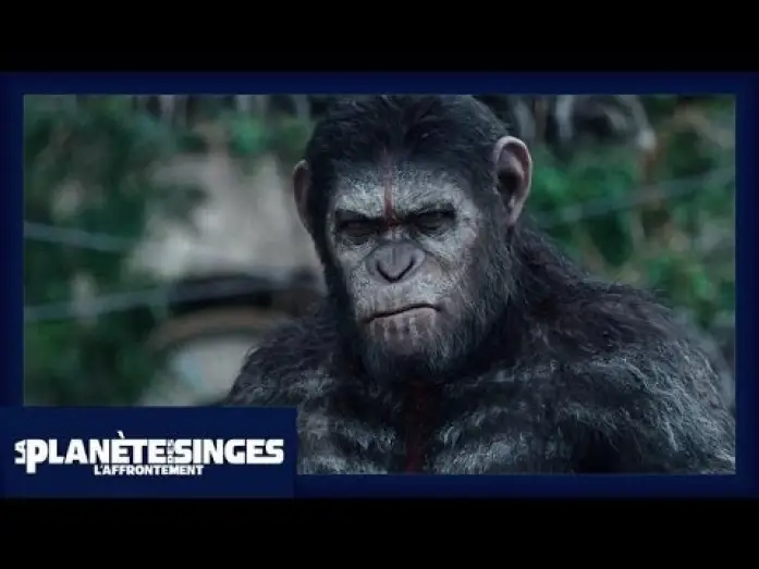 Wideo do filmu Ewolucja Planety Małp — La Planète des Singes : L'Affrontement - Extrait Les singes ne veulent pas la guerre [Officiel] VF