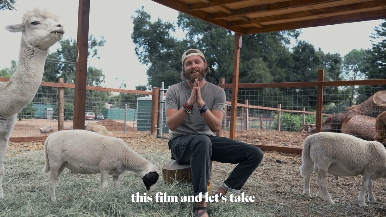 Wideo do filmu Christspiracy — We rescued Lambs from Ritual Slaughter! Plus, Red Carpet Giveaway!
