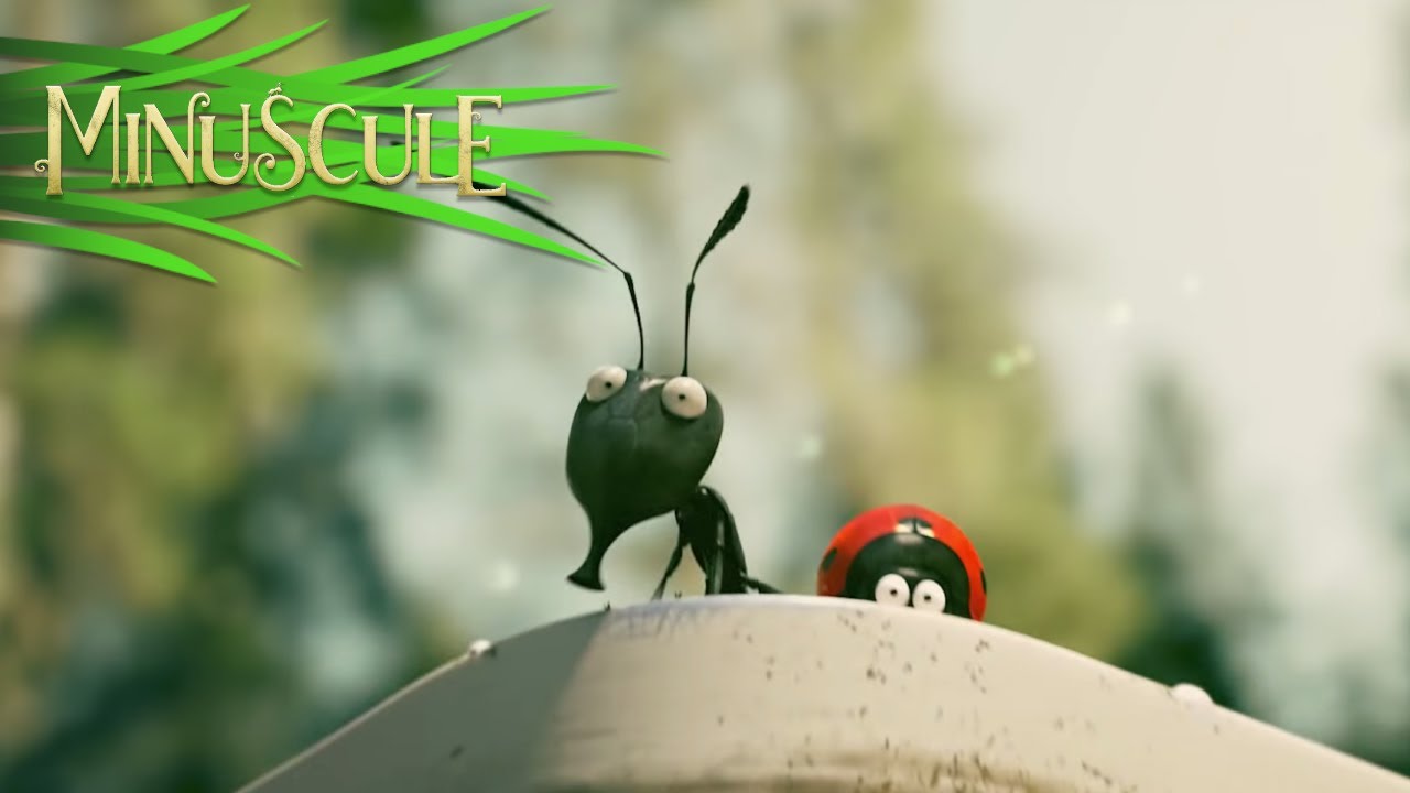 Wideo do filmu Robaczki z Zaginionej Doliny — Minuscule Valley of the Lost Ants - Official Trailer