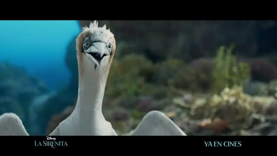Wideo do filmu Mała syrenka — Anuncio: '¿Qué tengo aquí?'