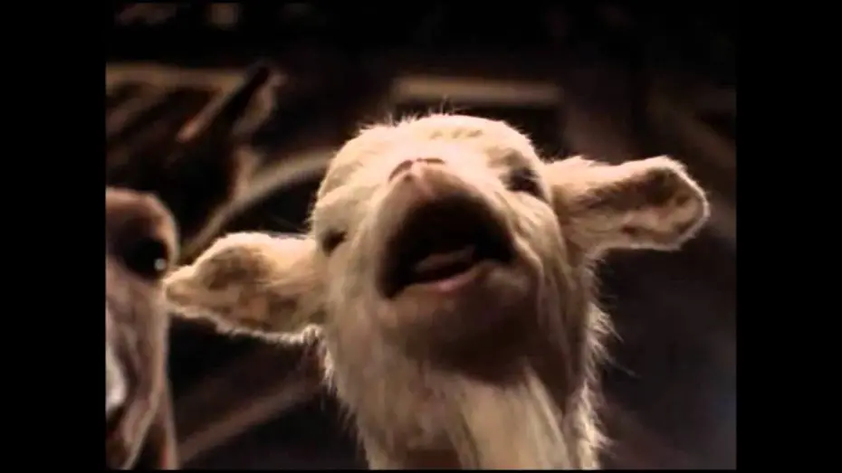 Wideo do filmu Folwark Zwierzęcy — Animal Farm trailer