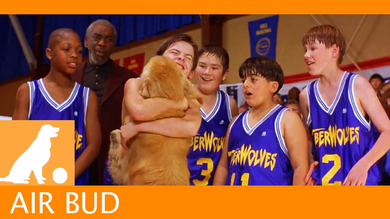 Wideo do filmu Koszykarz Buddy — Air Bud Sports News - Model Teammate