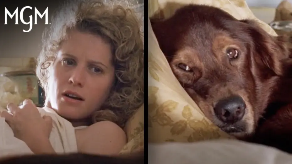 Wideo do filmu Psim tropem do domu — Fluke (1995) | Heart Touching Moments "Memories of Another Life" Scene | MGM Studios