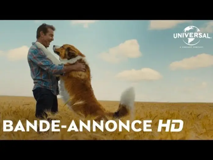 Wideo do filmu Był sobie pies 2 — Mes Autres Vies de Chien - Bande Annonce VOST