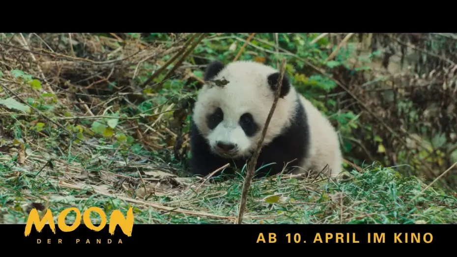 Wideo do filmu Moon le panda — Moon, der Panda | Exklusiv: Die 1. Minute des Films | Ab 10. April im Kino