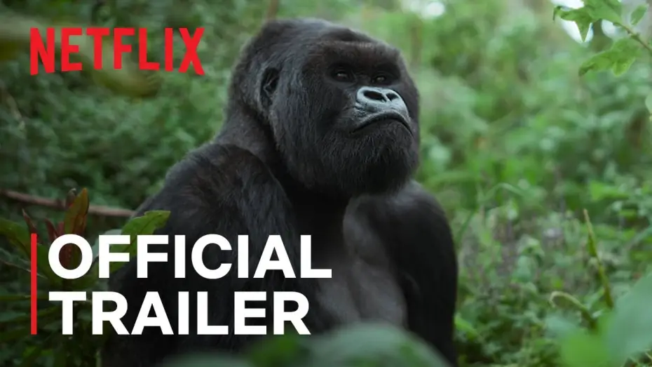 Wideo do filmu A Gorilla Story: Told by David Attenborough — Official Trailer