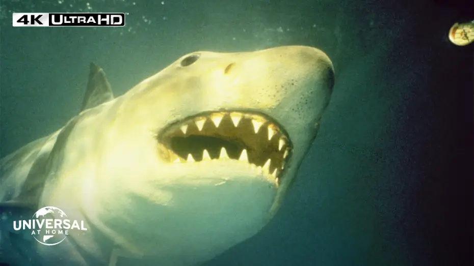 Wideo do filmu Szczęki 3 — Shark Strikes When Nobody Expects - Extended Preview