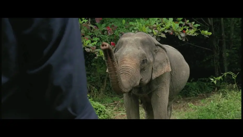 Wideo do filmu Mamut — Mammoth - Trailer 1 [HD]
