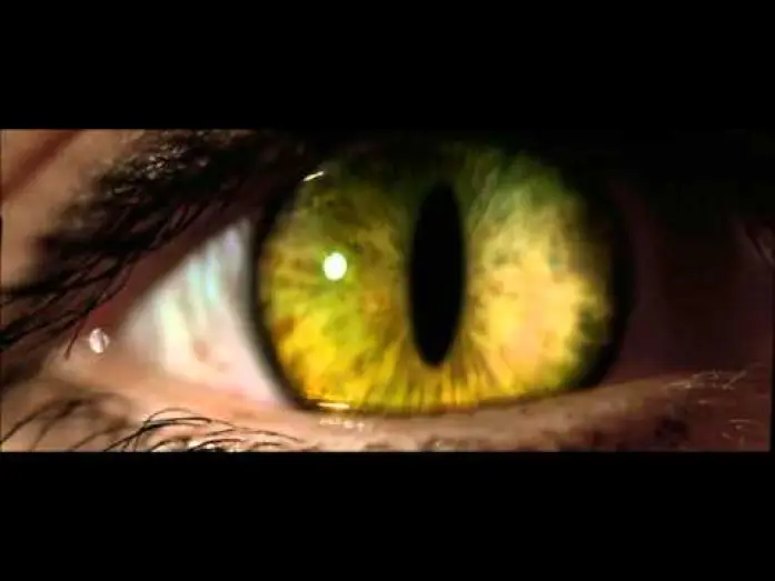 Wideo do filmu Kobieta-Kot — catwoman trailer ita