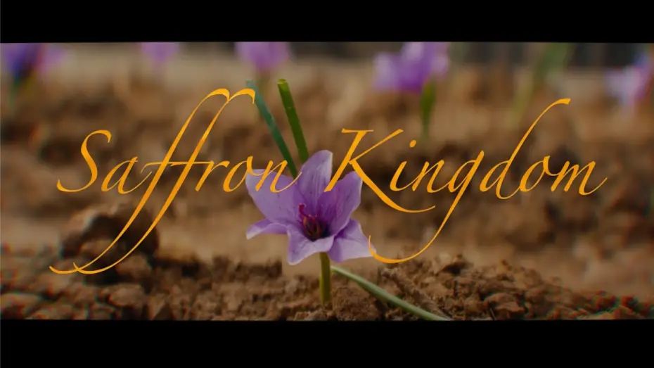 Wideo do filmu Saffron Kingdom — Official Trailer 2