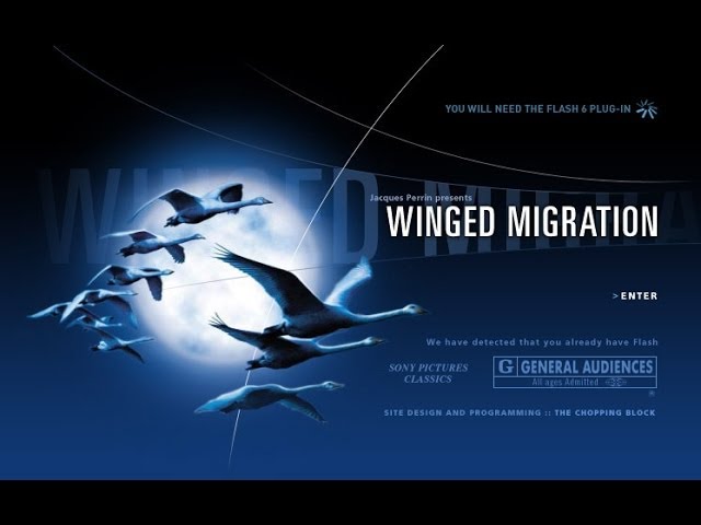 Wideo do filmu Makrokosmos — Winged Migration - Le Peuple Migrateur | Official Trailer