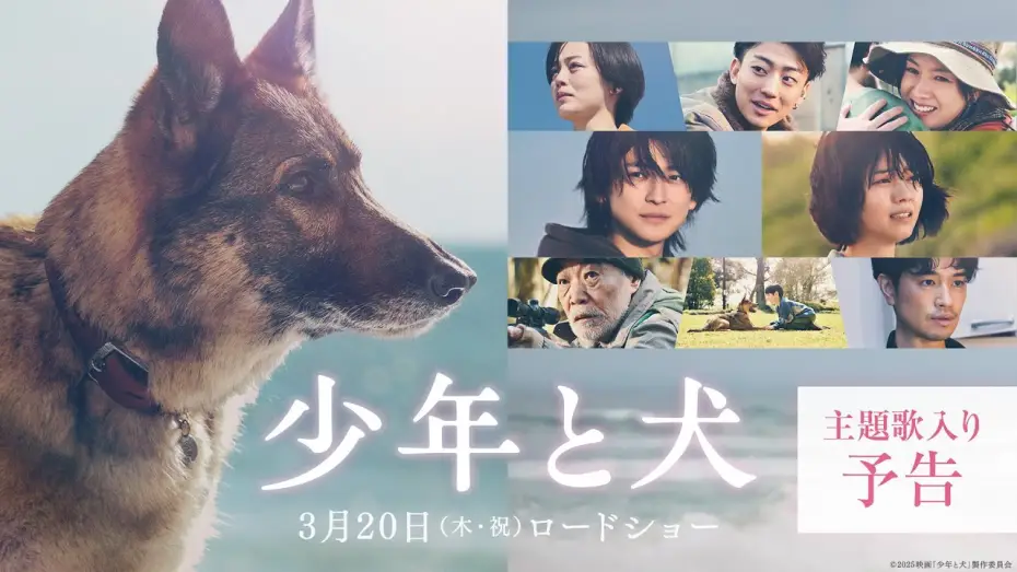 Wideo do filmu 少年と犬 — 【主題歌 SEKAI NO OWARI「琥珀」】映画『少年と犬』主題歌入り予告映像【3月20日(木・祝)公開】