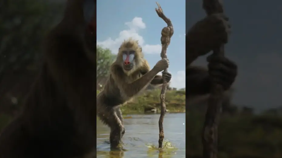 Wideo do filmu Mufasa: Król Lew — Be the First to Watch at Home Today