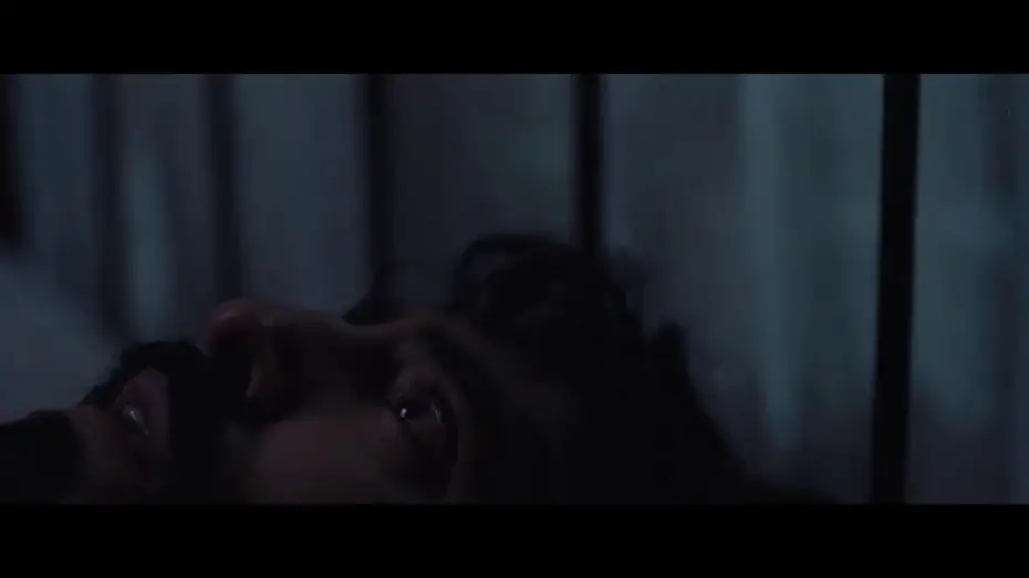 Wideo do filmu Rabbit Trap — are you listening?