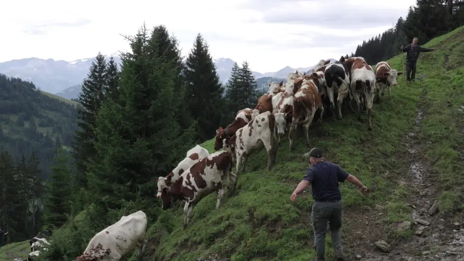 Wideo do filmu Être paysan·ne — Être Paysan·ne, un film de Frédéric Gonseth & Catherine Azad - Trailer
