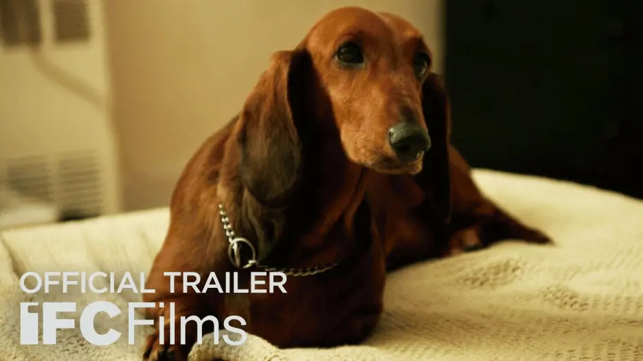 Wideo do filmu Jamnik — Official Trailer