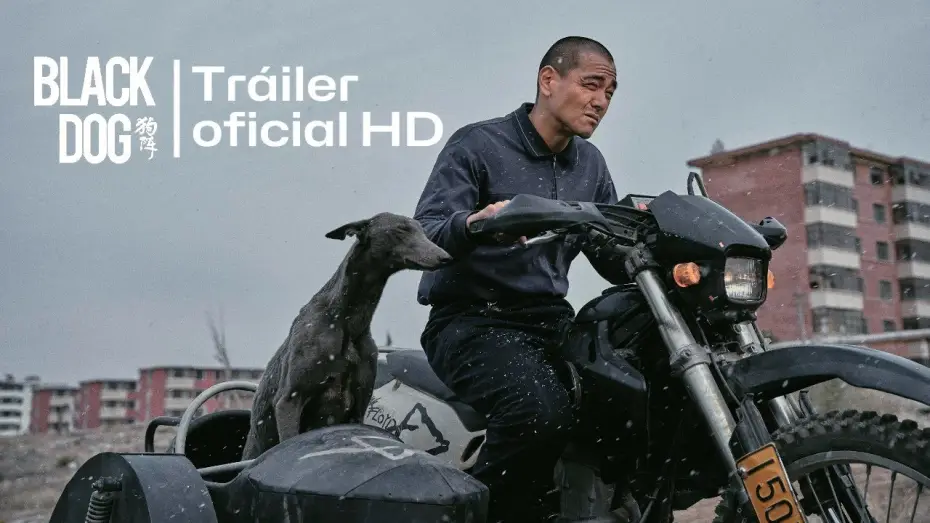 Wideo do filmu Czarny pies — BLACK DOG (2024) 🇨🇳 Tráiler oficial español (HD) #trailer #estreno #blackdog #cinechino