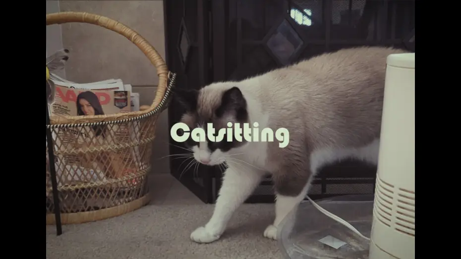 Wideo do filmu Catsitting — Catsitting: A Found Footage Horror