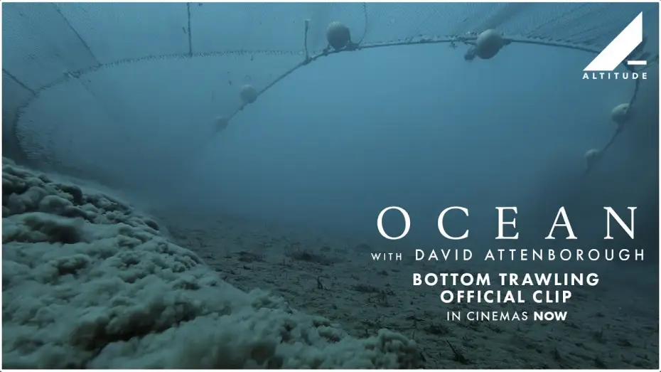 Wideo do filmu David Attenborough Świat oceanów — Bottom Trawling Official Clip