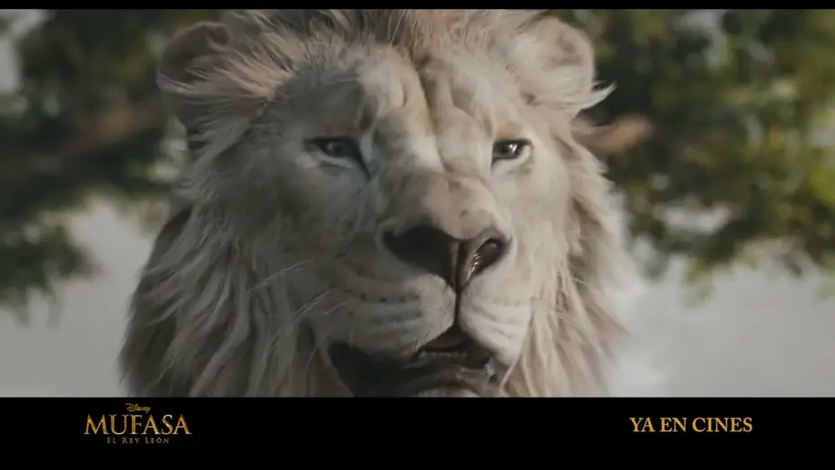 Wideo do filmu Mufasa: Król Lew — Anuncio: 'Este reino me pertenece'