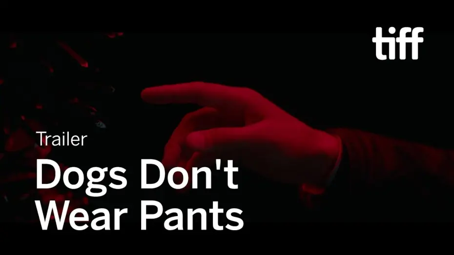 Wideo do filmu Psy nie noszą spodni — DOGS DON'T WEAR PANTS Trailer | TIFF 2019