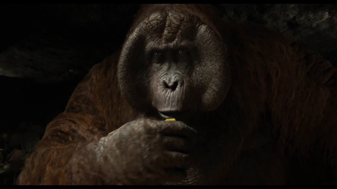 Wideo do filmu Księga dżungli — King Louie