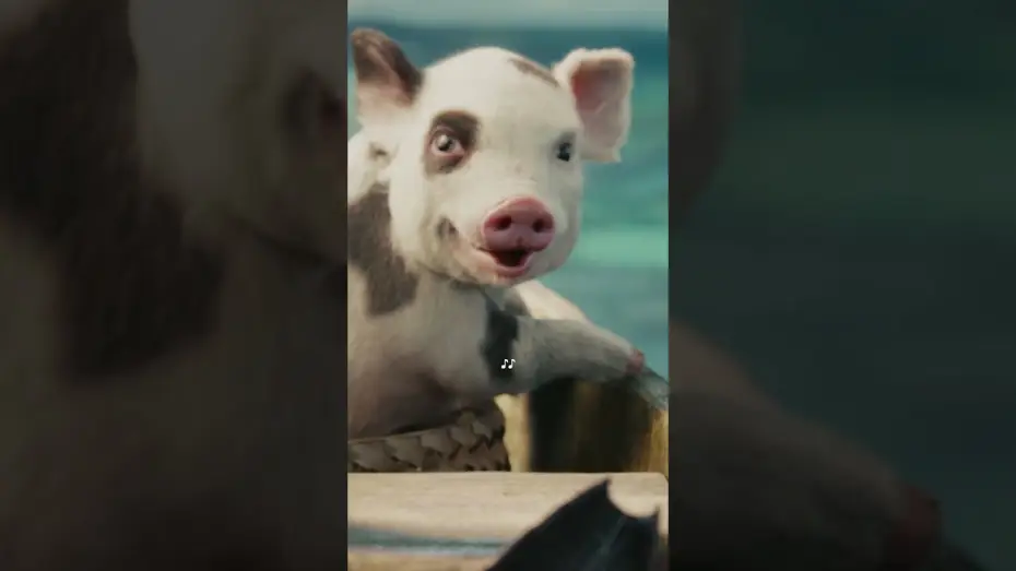 Wideo do filmu Moana — The story has just begun