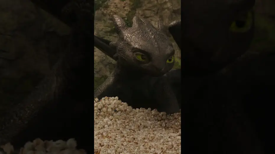 Wideo do filmu Jak wytresować smoka — Concessions