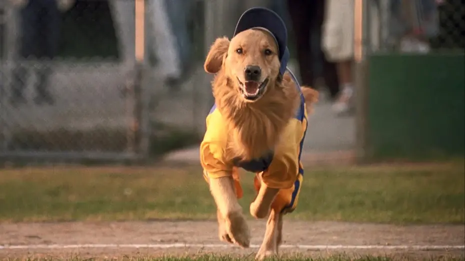 Wideo do filmu Bejsbolista Buddy — Air Bud 4: Seventh Inning Fetch (2002) ORIGINAL TRAILER [HD]